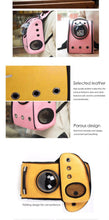 Load image into Gallery viewer, Outdoor Travel Bag for Cats