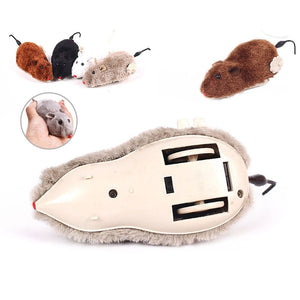 Real Looking Mouse