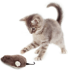 Real Looking Mouse