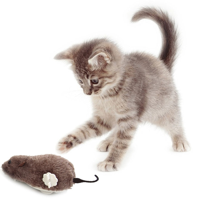 Real Looking Mouse