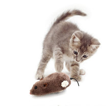 Load image into Gallery viewer, Real Looking Mouse